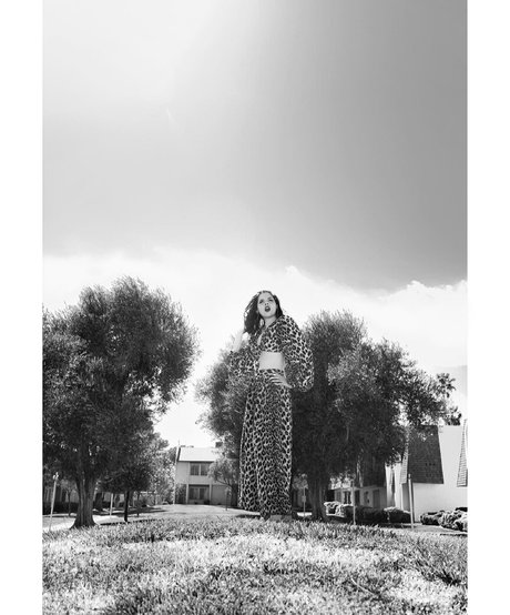 dandyindistress pornstar beautiful photos