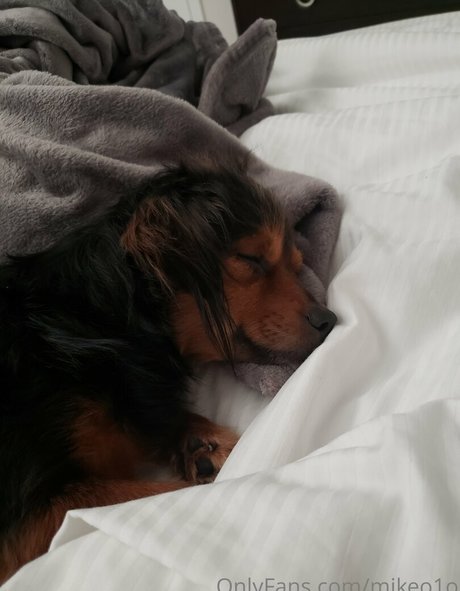 mikeo1o star sexy archive