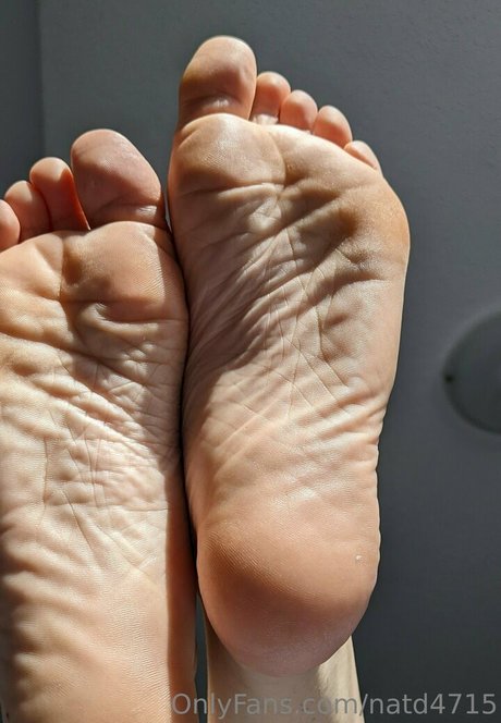 natd4715 top star picture