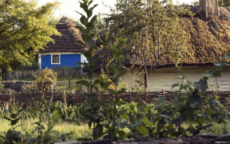 Guerlain star adult images