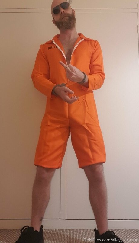 alley cat man model xxx pictures