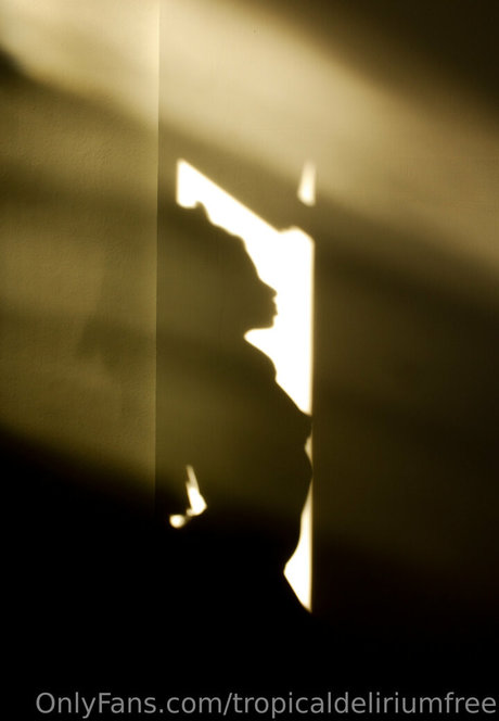 tropicaldeliriumfree model high quality photos