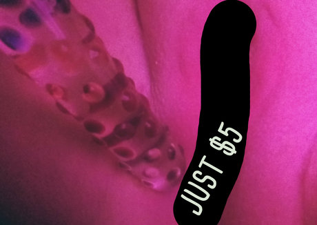 vauxibox beautiful pornstar pictures