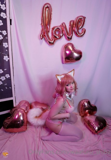 waafuru shiba star hd galleries