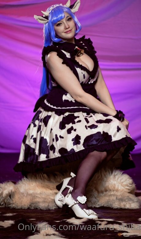 waafuru shiba star top pic