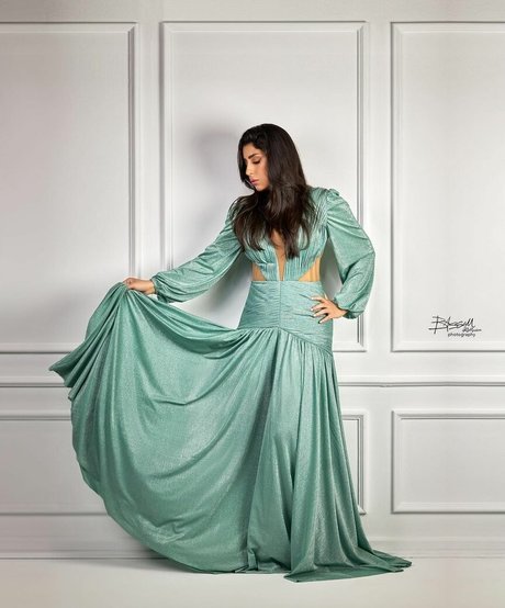 Ayten Amer nude actress pic