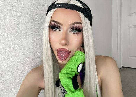 lovingpet star top picture