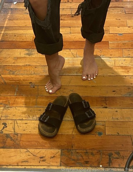 theperfectmistress free top pornstar pictures