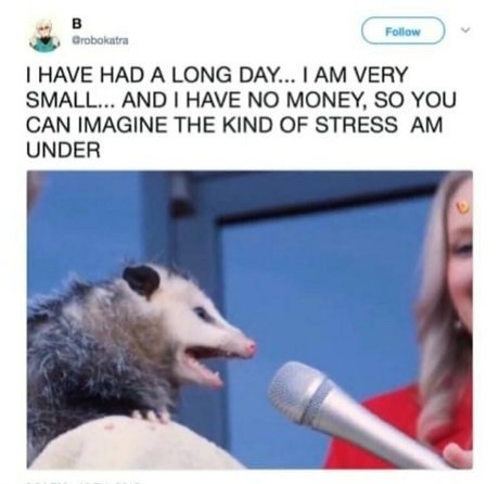 clumsiersquirrel porn actress photos