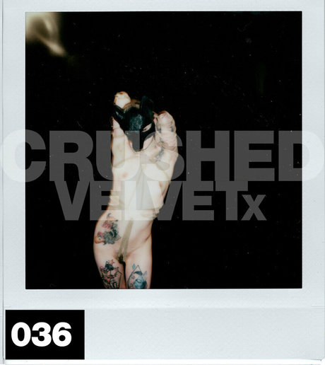 crushedvelvetx star image