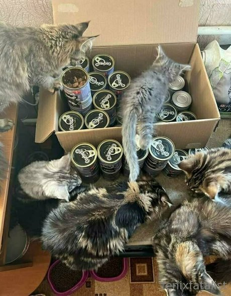 uncut onlyfans free xxx photo