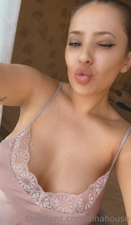 dinahouse star free images