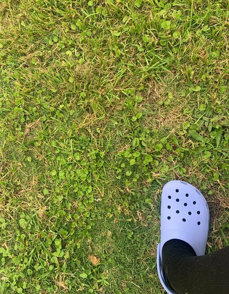 comfyqueen pornstar archive