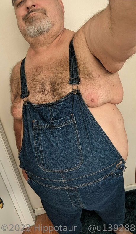 hippotaur top actress pic