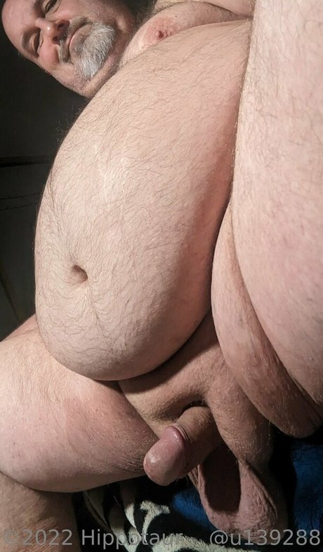 hippotaur pretty pornstar img