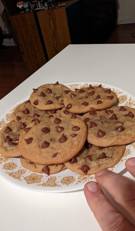 hippotaur model sexy image