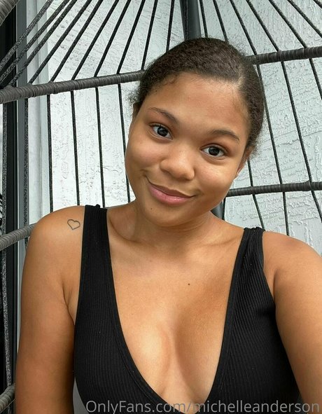 michelleanderson perfect pornstar galleries