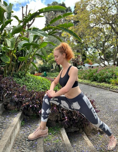 alicerocket high quality star gallery