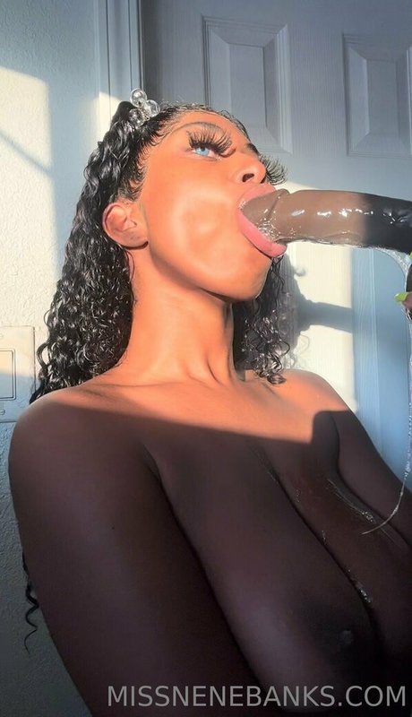 godknowsimbroke high quality star gallery