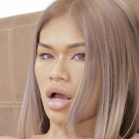 ponybuny top pornstar pictures