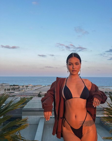 Doina Barbaneagra nice star galleries