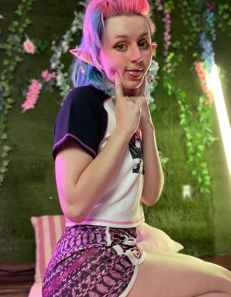 Tweetney star high quality picture