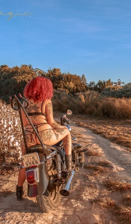 Varias Em Um high quality star images