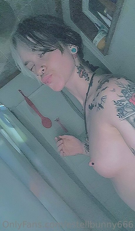 estellbunny666 top star img