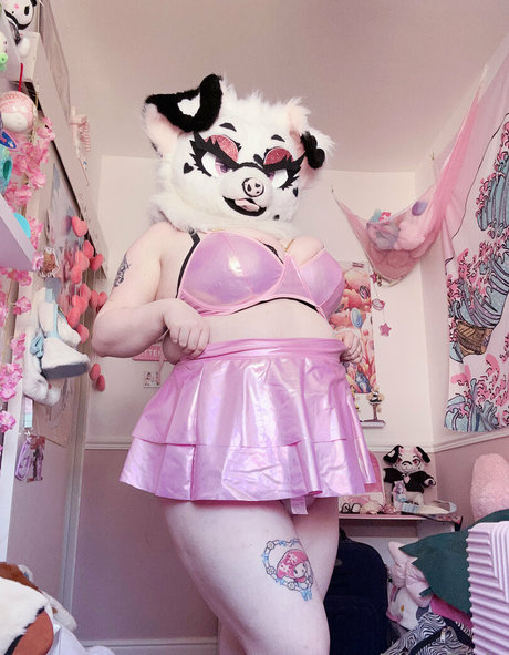 dirty dixie star adult image