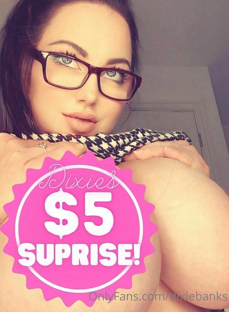 dixiebanks star adult gallery