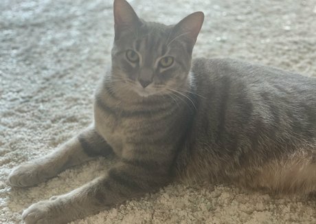 nyxiedust pornstar nude img