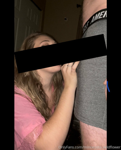 minnesota wildflower star hot image