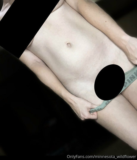 minnesota wildflower exclusive star images