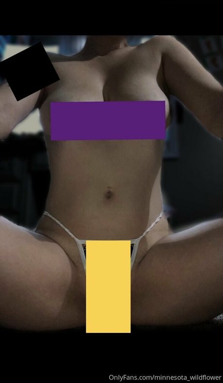 minnesota wildflower hot star pics