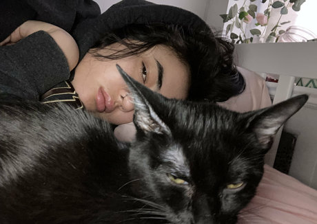 yesmissaphrodite star adult img