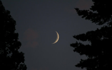 alignedbykarissa adult model images