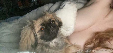 nalabrooks naked pornstar pics