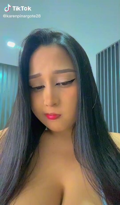 Karen Pinargote Torres porn actress image