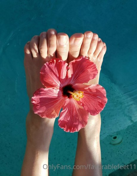 favorablefeet11 pornstar perfect picture