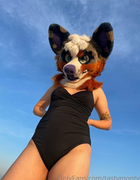 tastymonty xxx star img