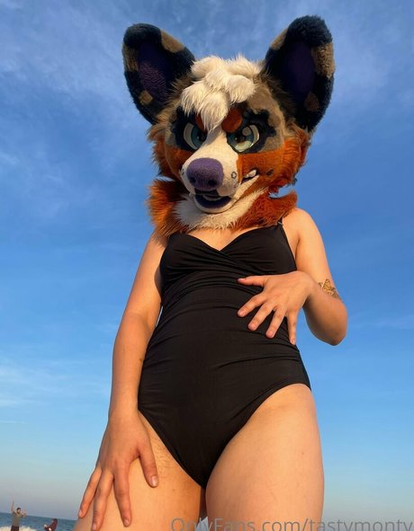 tastymonty nice star archive