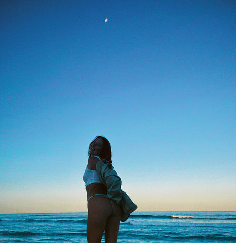 seasharkcensored best pornstar galleries