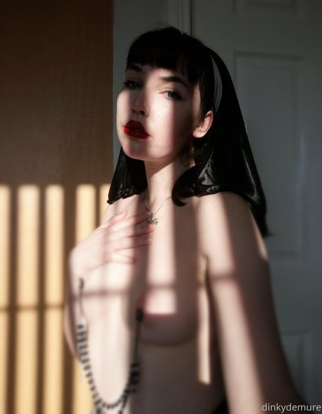 dinkydemure model picture