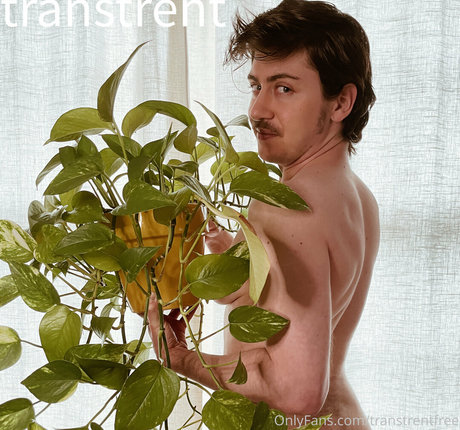 transtrentfree beautiful pornstar gallery