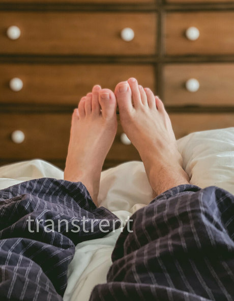 transtrentfree model adult image