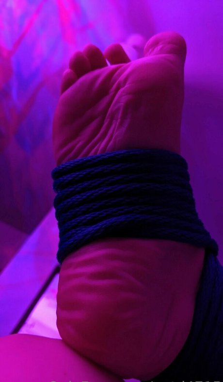 tashad4715 star hot image