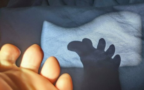 tashad4715 model erotic image