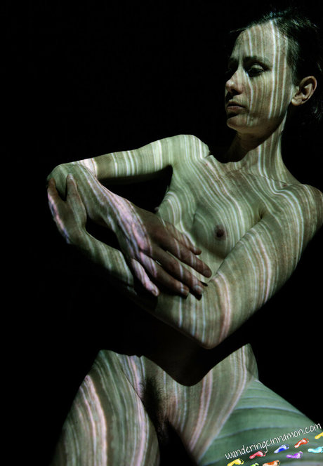 wanderingcinnamon2 Profile pic