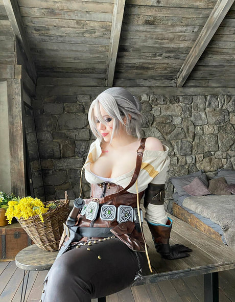 abecker cos model archive