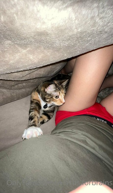 worms forbrains sexy pornstar pictures